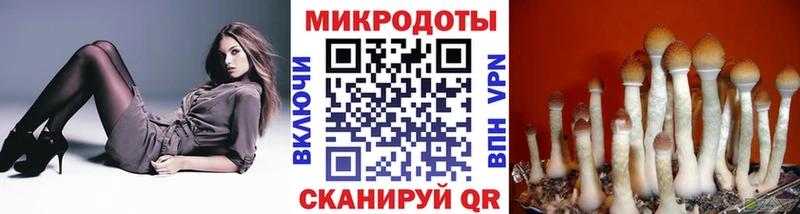 Галлюциногенные грибы мицелий  Купить  Славгород 